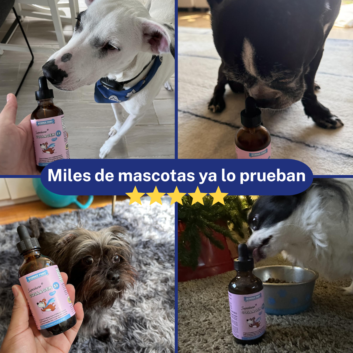 VitalPaws Colageno™ - Movilidad y bienestar desde adentro.