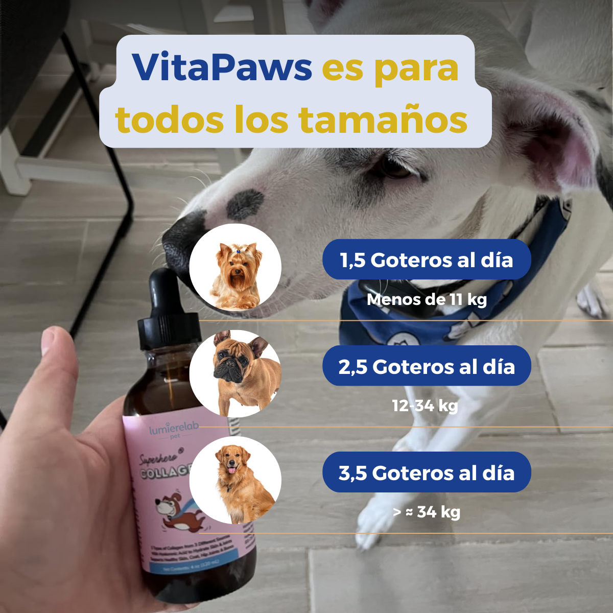 VitalPaws Colageno™ - Movilidad y bienestar desde adentro.