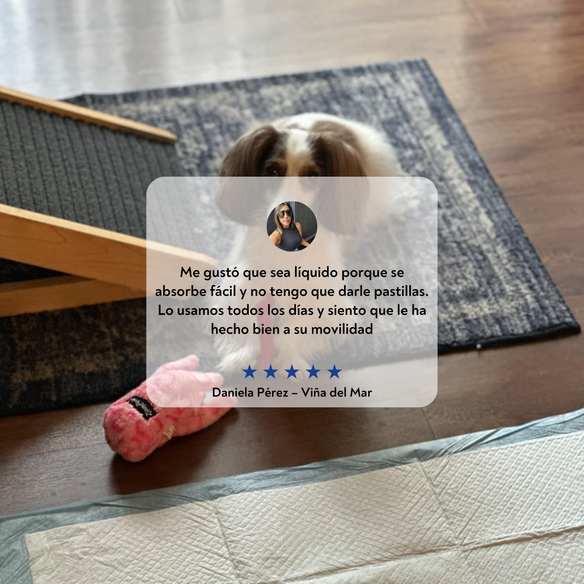 VitalPaws Colageno™ - Movilidad y bienestar desde adentro.