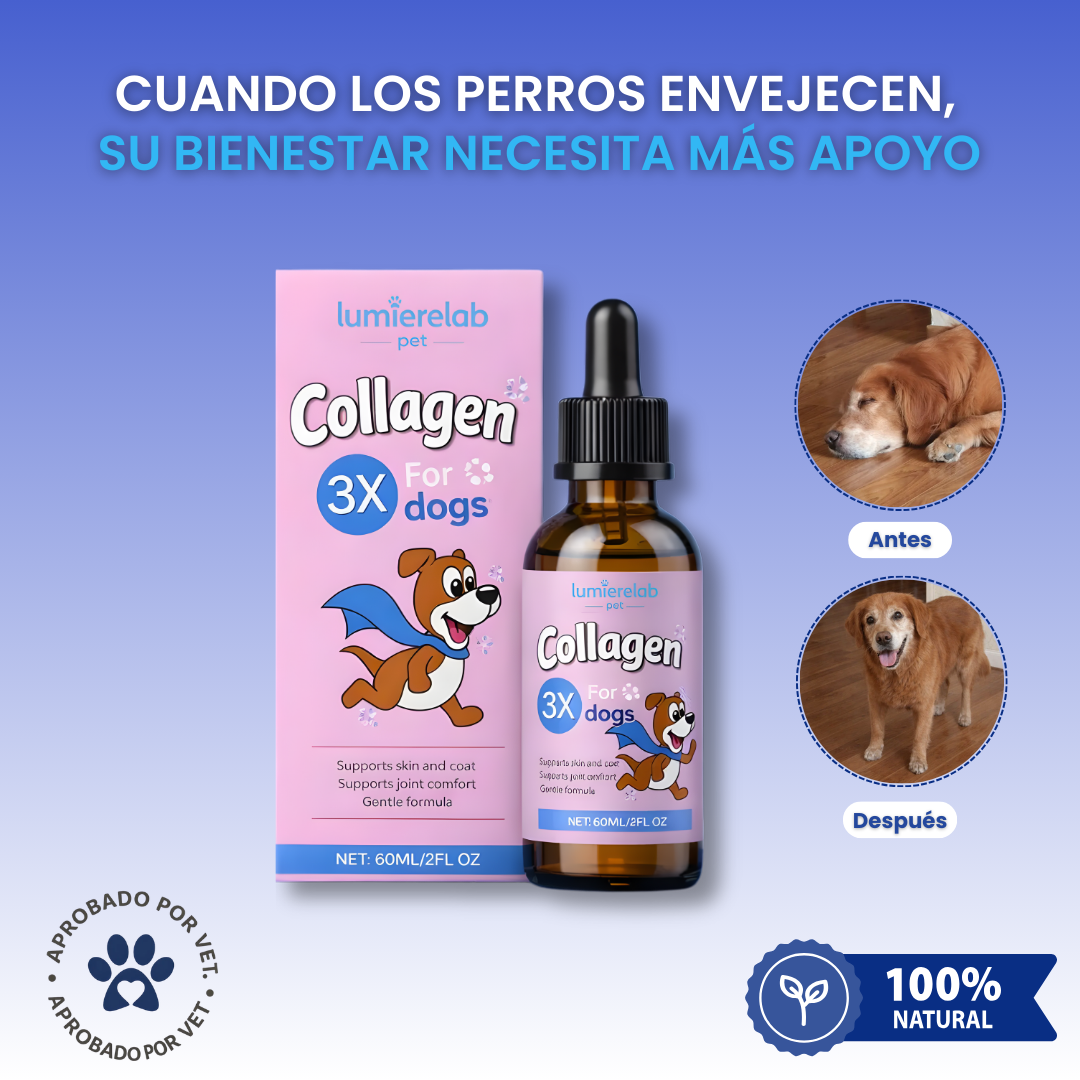 VitalPaws Colageno™ - Movilidad y bienestar desde adentro.